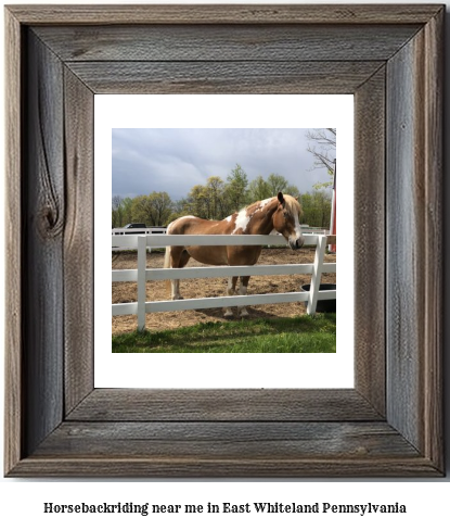 horseback riding near me in East Whiteland, Pennsylvania